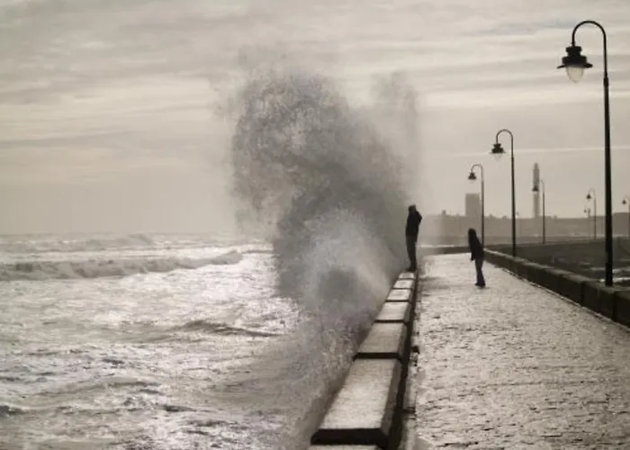 Descubrehome Playa De La Caleta